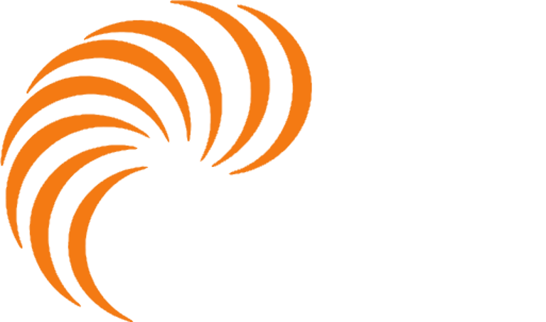 DEMOSEIN SAS logo