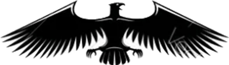 San Diego Raptors logo