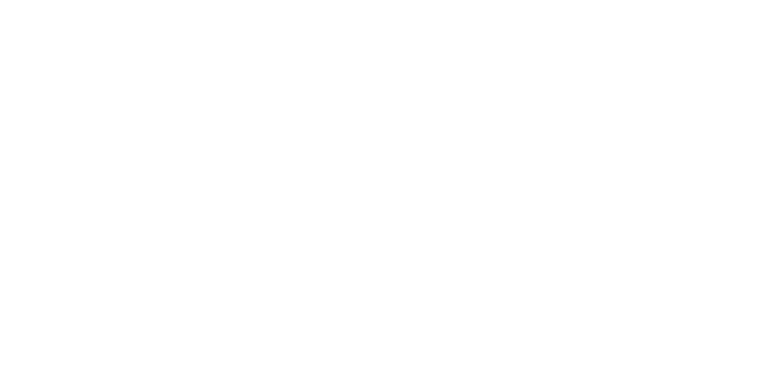 Hammershoil ® logo