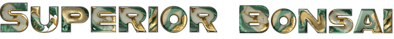 Superior Bonsai logo