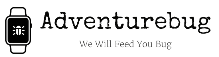 Paragliding in Kullu logo