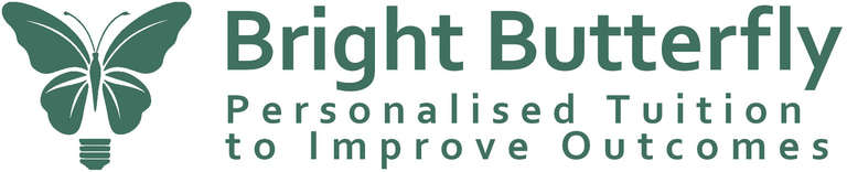 Bright Butterfly logo