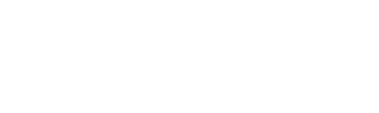 Bluefluxpower logo