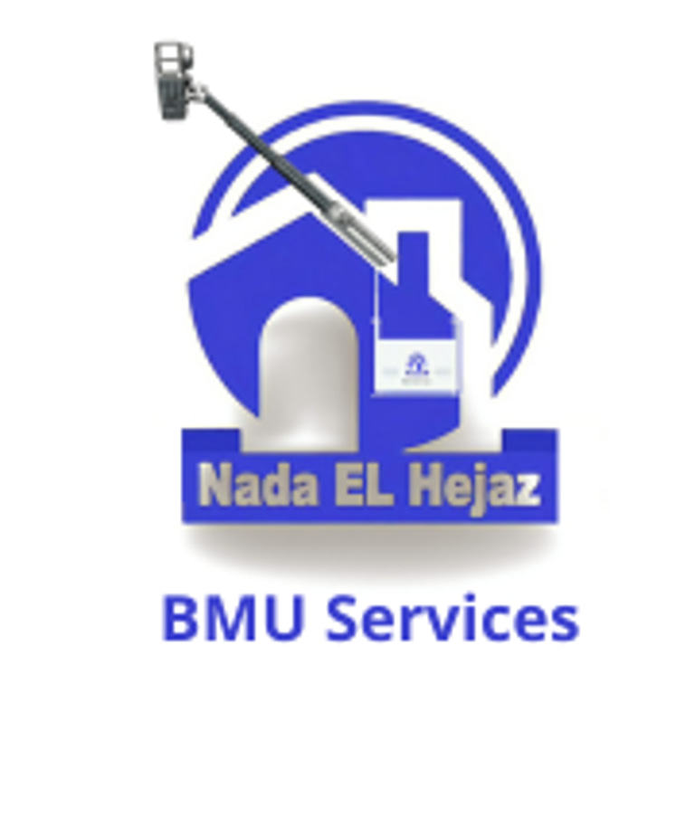 BMU Maintenance Services logo
