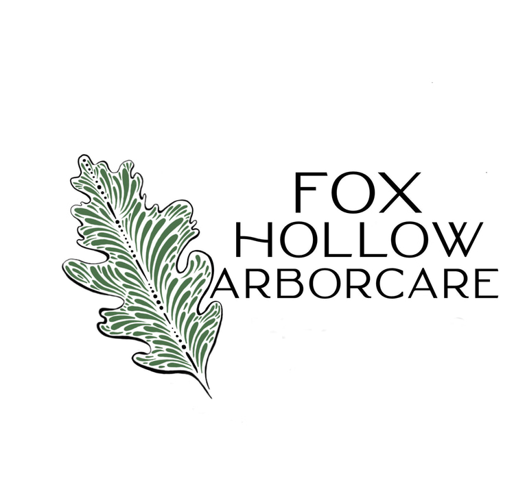 Fox Hollow ArborCare logo