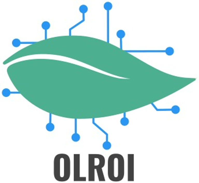 OLROI Consultoría logo