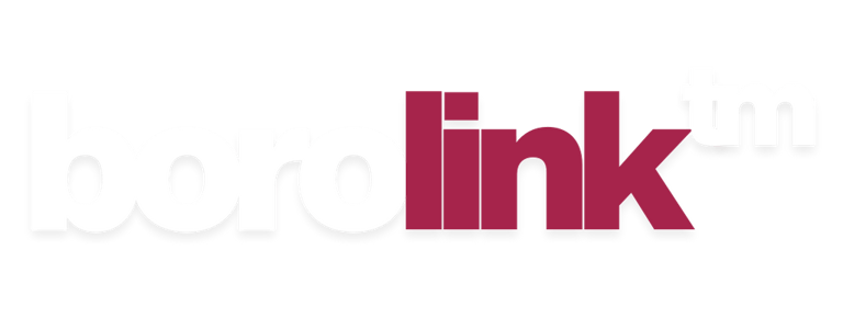 Borolink logo