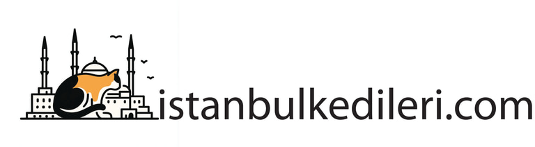 İstanbul Kedileri logo