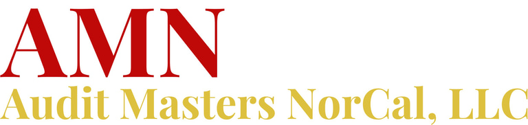 Audit Masters NorCal, LLC logo
