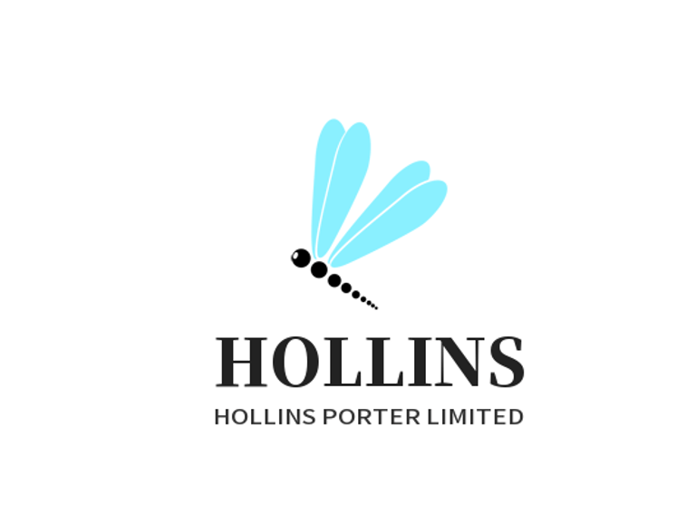 hollinsporter.shop logo