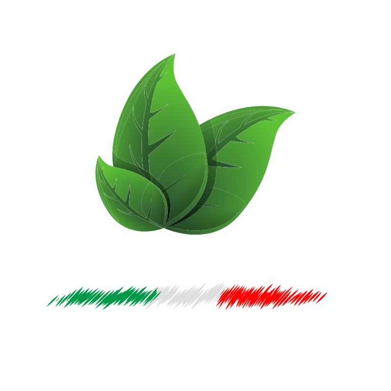 Salute Vitale logo