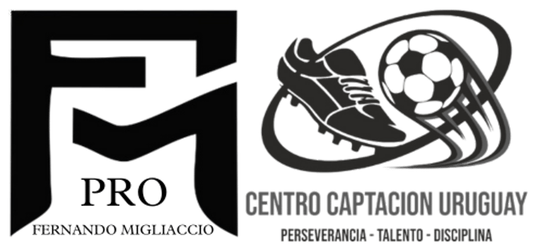 Fernando Migliaccio Pro logo