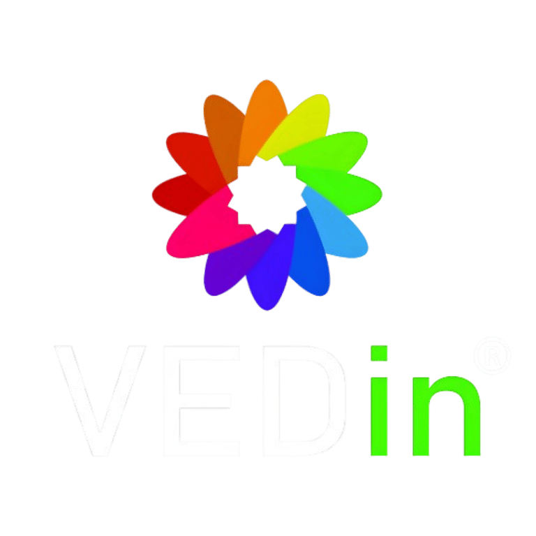VEDin Global Foods and Beverages logo