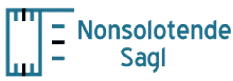 Nonsolotende Sagl logo