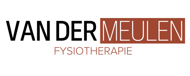 Van der Meulen Fysiotherapie logo