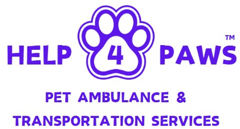 AMBUPET logo