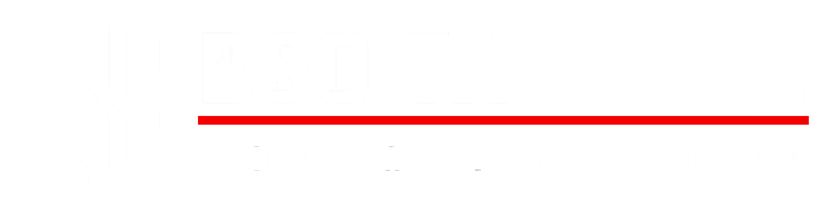BSO Tactical logo