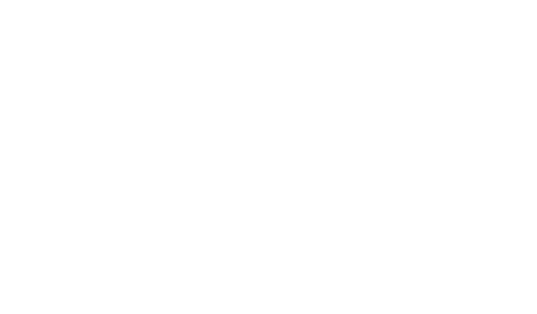 Tall Fox Designs logo