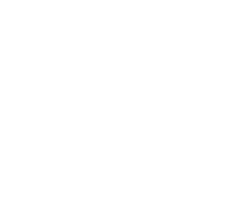 Team of New York tax and accounting professionals logo