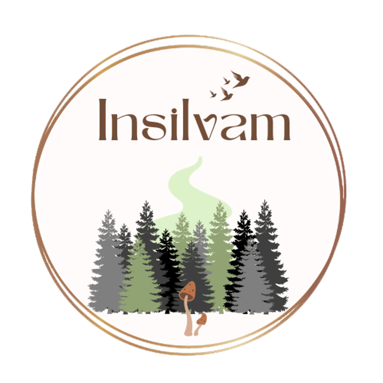 Insilvam logo