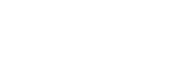 Vikkshow logo