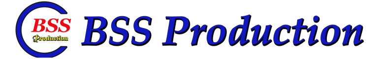 BSS Production logo