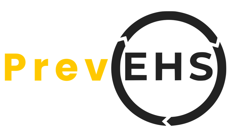 LS I Segurança & Comportamento logo