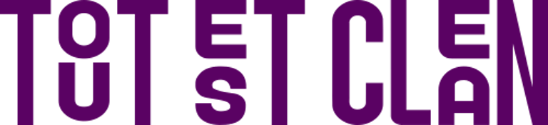 TOUT EST CLEAN logo