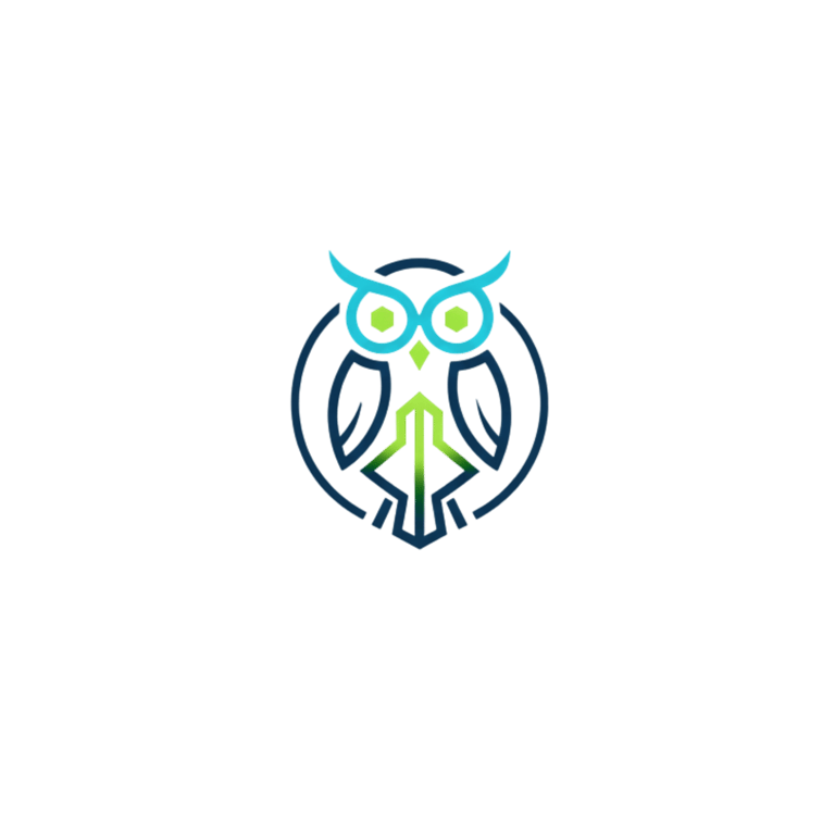 owl Insight Enterprises logo