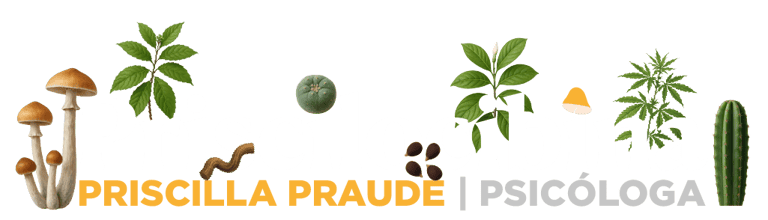 Priscilocibina logo