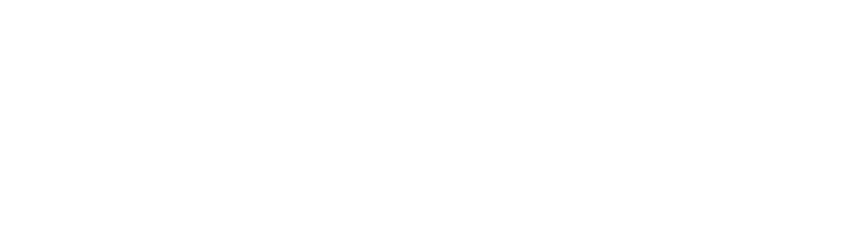 BIMSTARTER DEUTSCHLAND logo