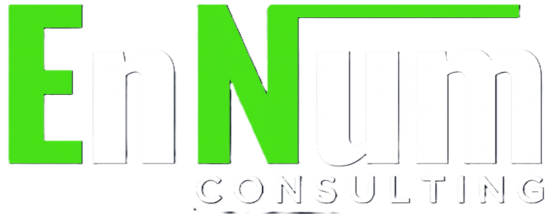 EnNum Consulting logo
