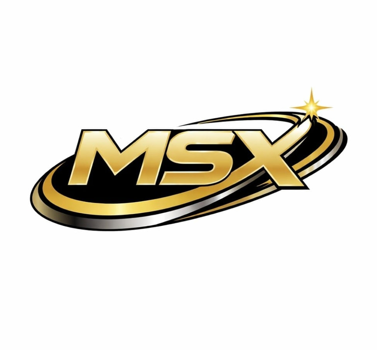 MSX Imports logo