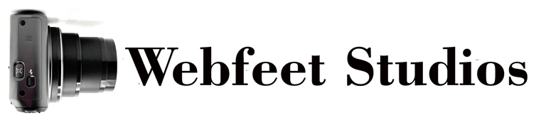 Webfeet Studios LLC logo