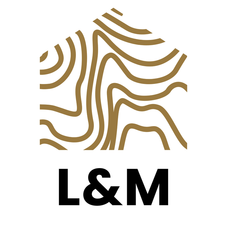 In Africa Accountants logo