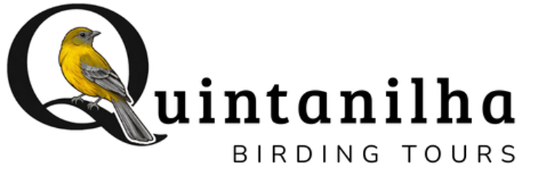 Quintanilha Birding Tours logo