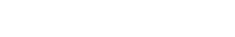 Cyber Aware Lite logo