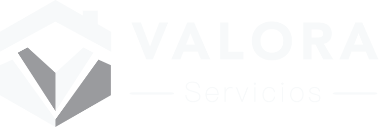 Valora Servicios logo
