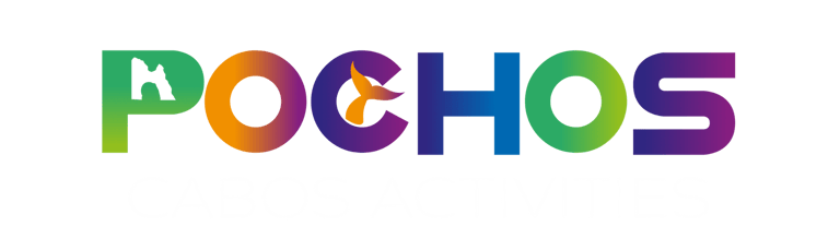 Cabos Yacht Tours logo