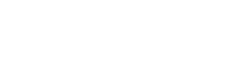 VRO SG logo