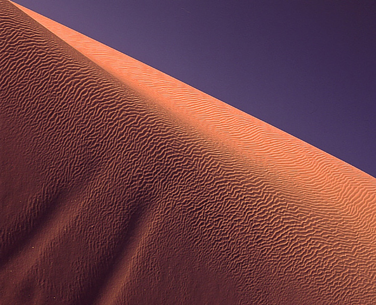 Ron Zimmerman Photography logo