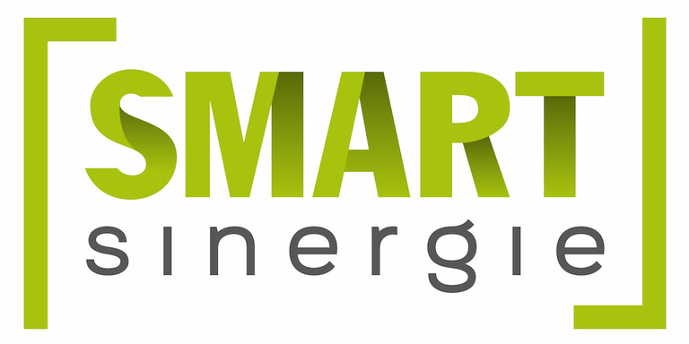 Smart Sinergie logo