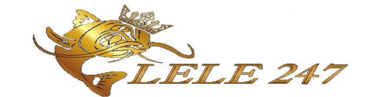 LELE247 logo