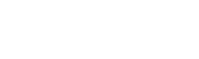 SantiResin logo
