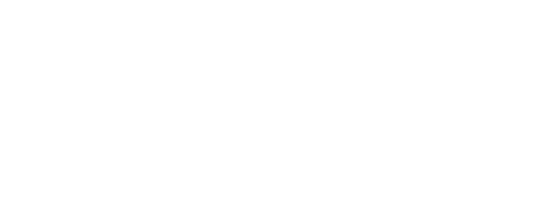 David Nguyen Law Group logo
