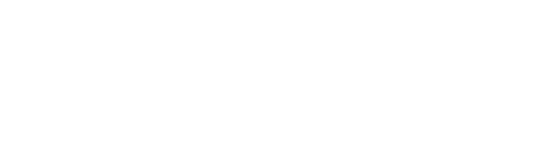 Legion Exim logo