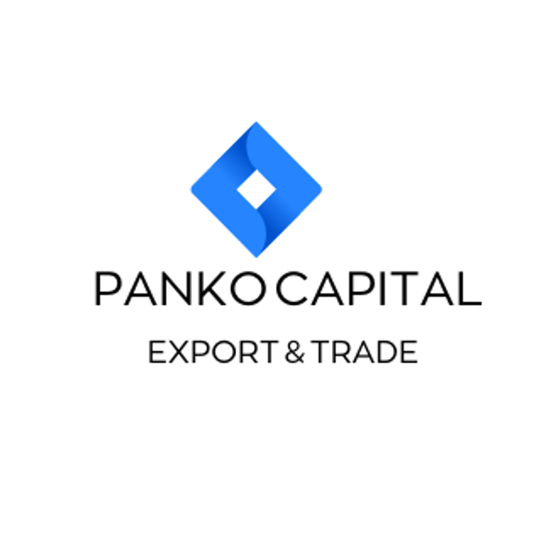 panko capital logo