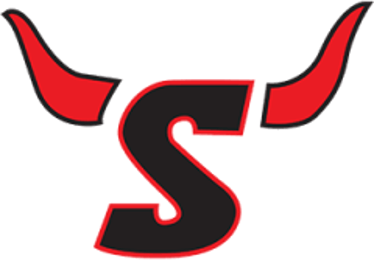 Stark Longhorns logo