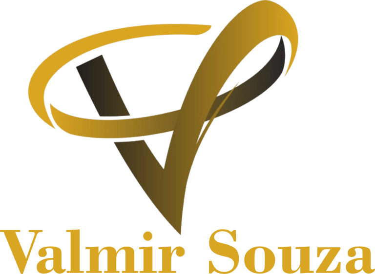 Valmirstudio logo
