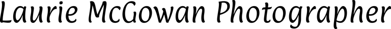 Laurie McGowan Photography logo
